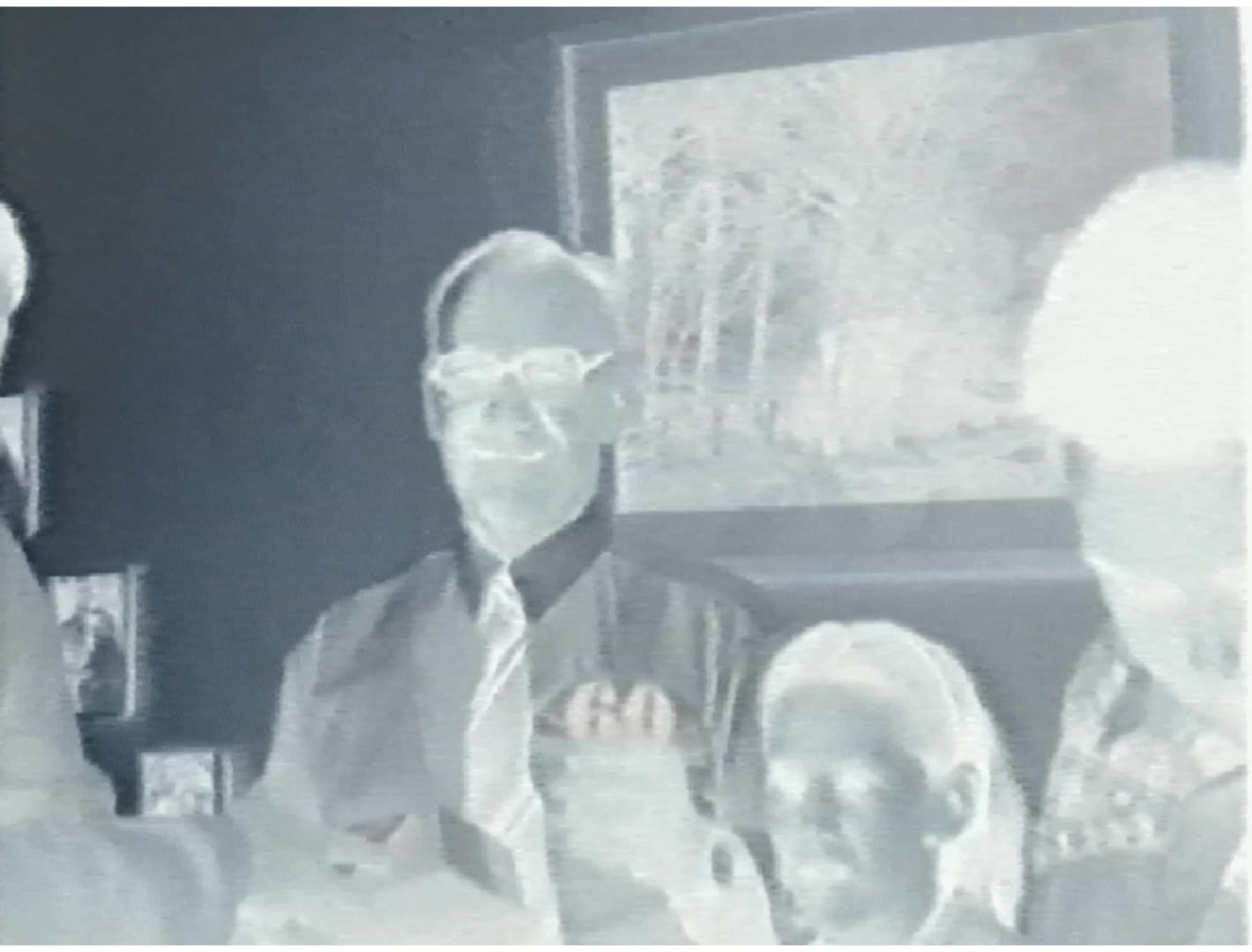 Raw linear scan (pre-inversion)